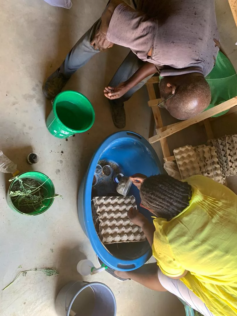 A man and a woman tending to the insects.